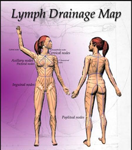 /i//lymphatic_chart_woman_Web.JPG